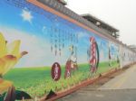青島專業慶典禮儀策劃服務公司 一站式專業服務，點亮城市精彩